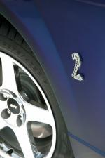 Ford Mustang SVT Cobra MystiChrome 2004 года